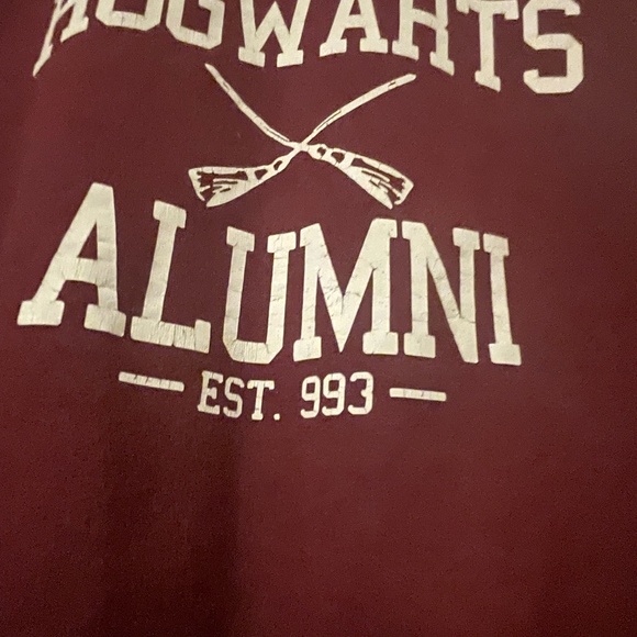Hogwarts Alumni Gildan Sweatshirt Harry Potter Burgundy Size M GUC Unisex - Picture 3 of 8